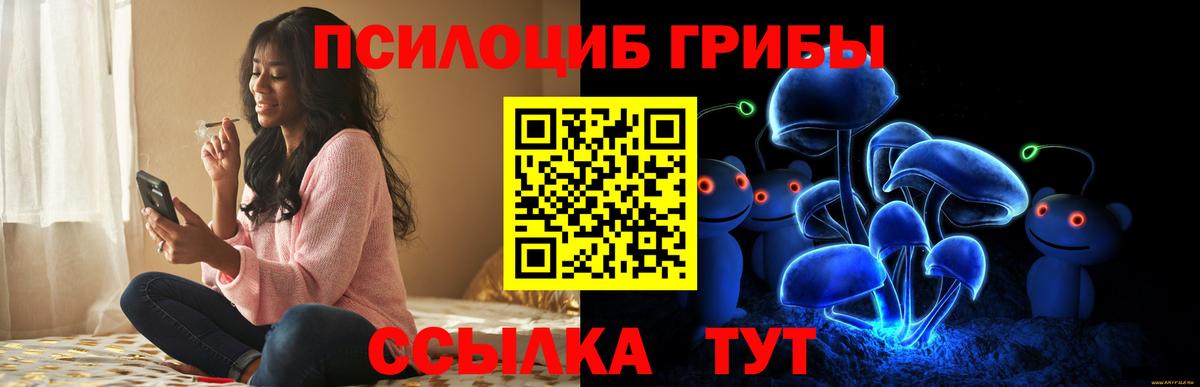 Ленинск-Кузнецкий  Псилоцибиновые грибы ЛСД  Галлюциногенные грибы MAGIC MUSHROOMS  Вход с VPN 